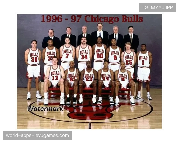 公牛队战术调整初见成效，公牛队集锦